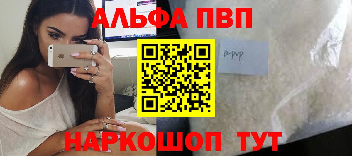 Альфа ПВП СК Моздок